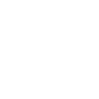 Infrastructure partner